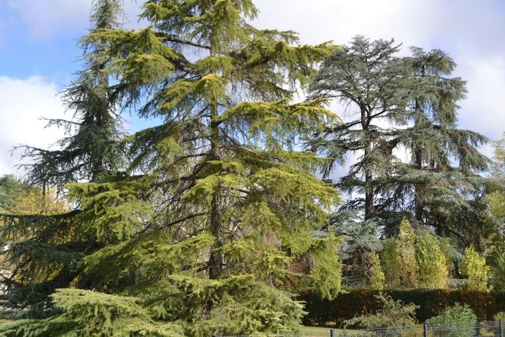 Maison Cosy Confort Dans Un Cadre De Verdure Le Sequestre